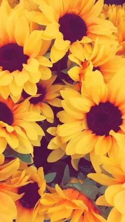 OnlyFans cuenta justforfunhun header 2