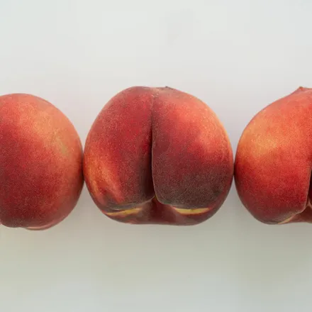 OnlyFans cuenta bigbutttxoxo header 2