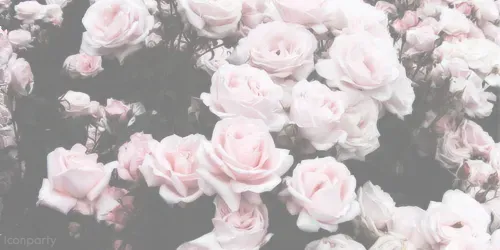 OnlyFans cuenta baby_buns header 2