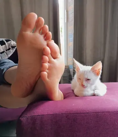 OnlyFans cuenta yellowlilyfeet avatar 1