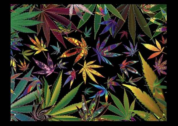OnlyFans cuenta dabprincess420 header 2