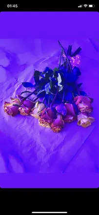 OnlyFans account  onlymarfeet header 2