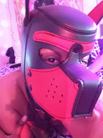 OnlyFans cuenta mischievouscollars avatar 1