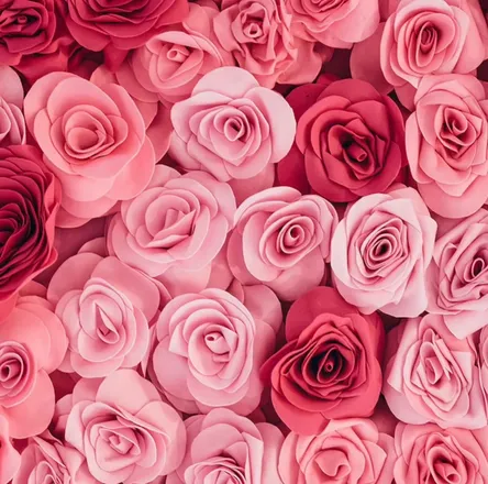 OnlyFans cuenta thegreatestmonroe header 2