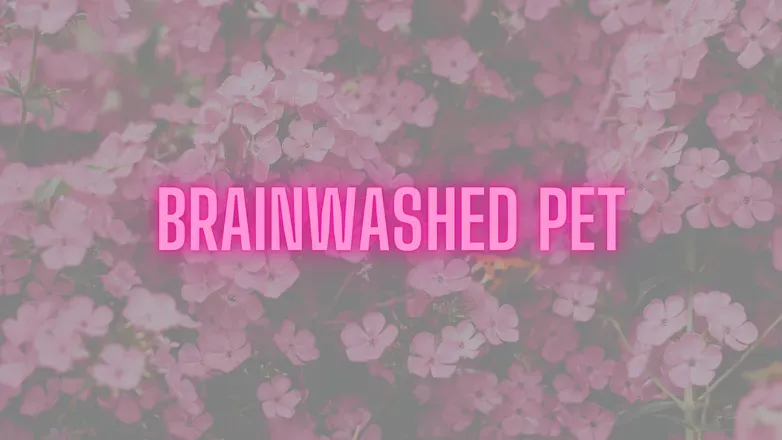OnlyFans account  brainwashedpet header 2