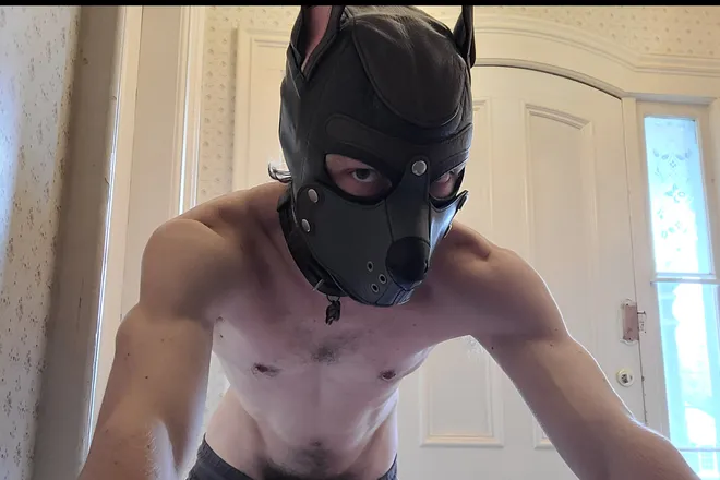 OnlyFans cuenta rocketsmutts header 2