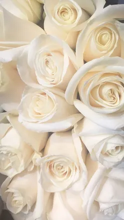 OnlyFans cuenta sweettantrum header 2