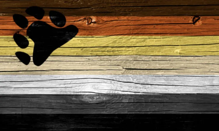 OnlyFans cuenta cosmic_cub header 2