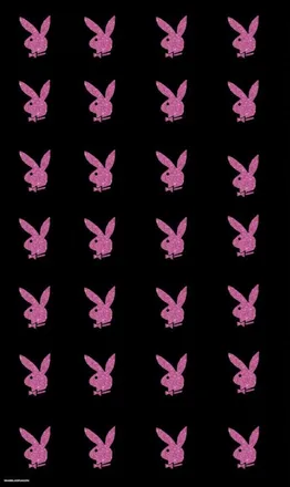 OnlyFans cuenta playboy.sierra header 2