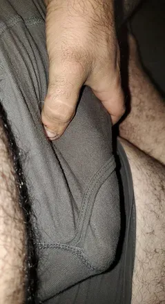 OnlyFans cuenta onlyfansvet avatar 1