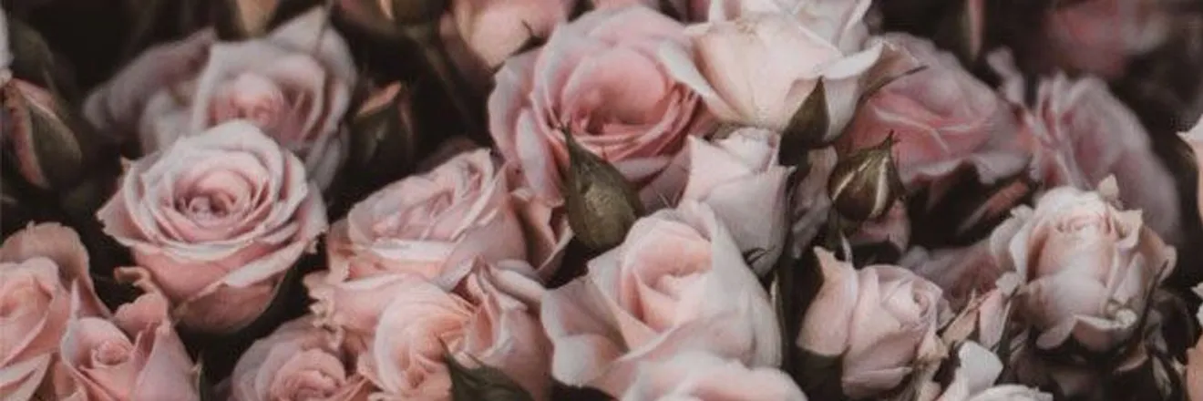 OnlyFans cuenta sweetestpiiee header 2