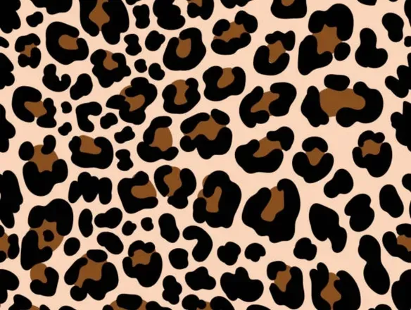 OnlyFans cuenta wildncream header 1