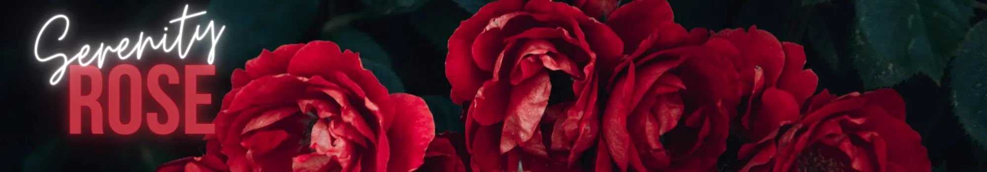 OnlyFans cuenta serenityr0se header 2