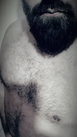 OnlyFans cuenta daddybear27 avatar 1
