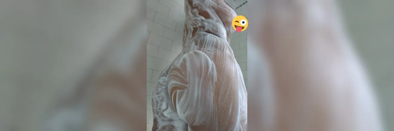 OnlyFans cuenta badlilbaby917 header 2