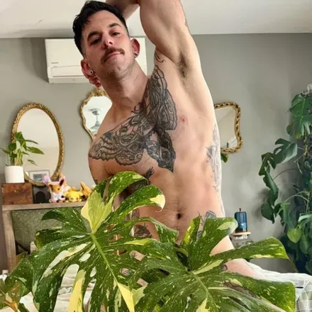 OnlyFans cuenta theofficialtro avatar 1