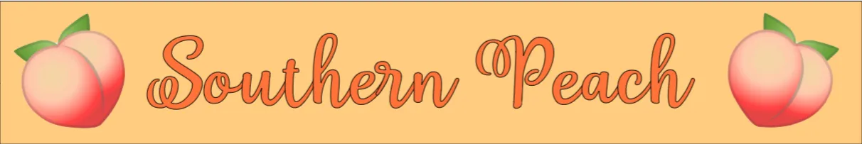 OnlyFans cuenta southern_peach21 header 2