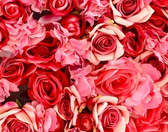 OnlyFans cuenta bangbangblair header 2