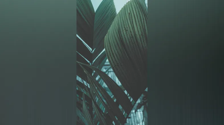 OnlyFans cuenta fairyquadmuva header 2