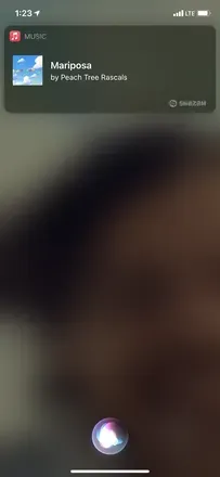 OnlyFans cuenta amara_cartier header 2