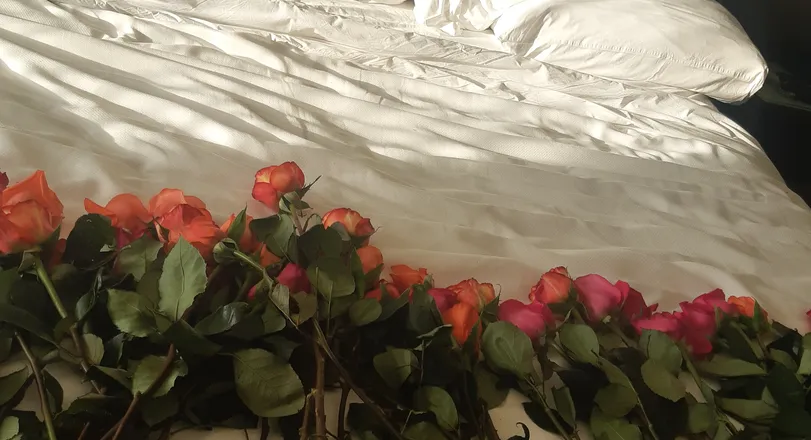 OnlyFans cuenta bee.bxxx header 2