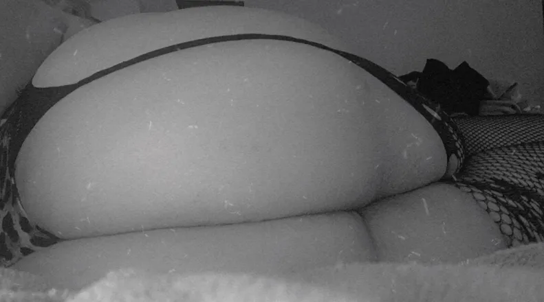 OnlyFans account  ask_amy header 2