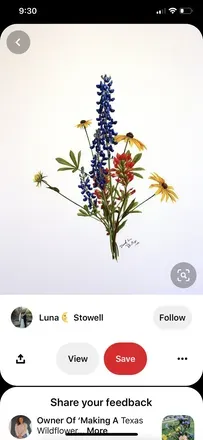OnlyFans account  southernbella1995 header 2