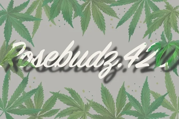 OnlyFans cuenta rosebudz.420 header 2