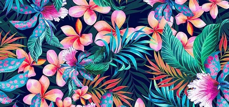 OnlyFans cuenta tcutiepiefree header 2
