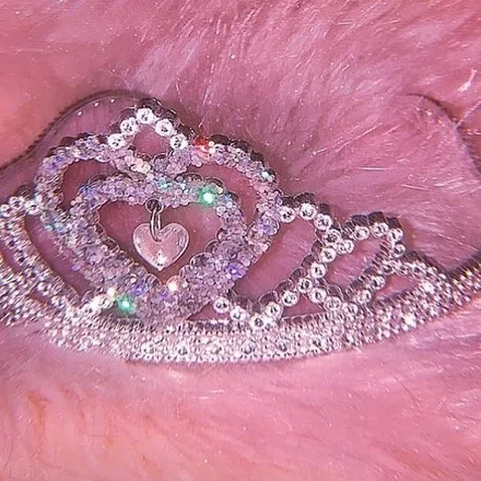 OnlyFans cuenta cherrryvanilla header 2