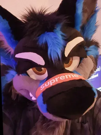 OnlyFans cuenta loomywoof avatar 1