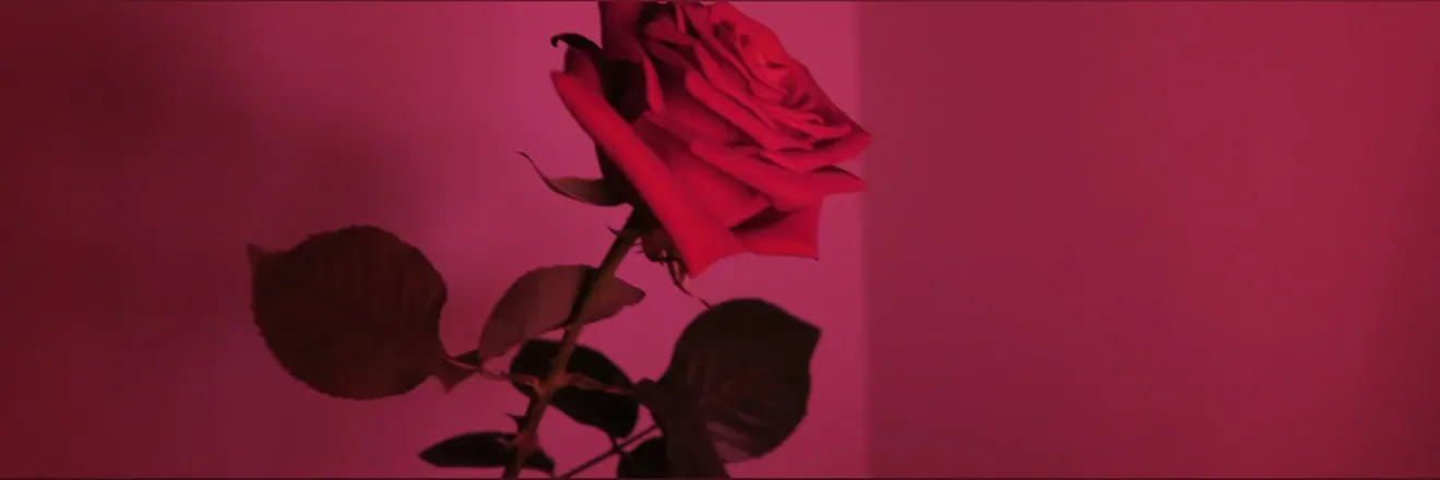OnlyFans account  foreignrose415 header 2