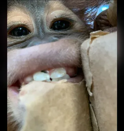OnlyFans account  monky613 avatar 1