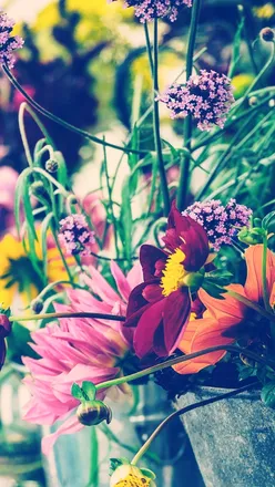 OnlyFans cuenta blushingdaisies header 2