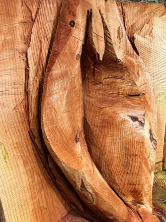 OnlyFans cuenta redwoods header 2