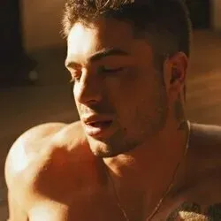 OnlyFans cuenta themasonblaze avatar 1