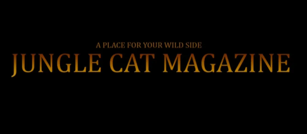 OnlyFans cuenta junglecatmagazine header 2