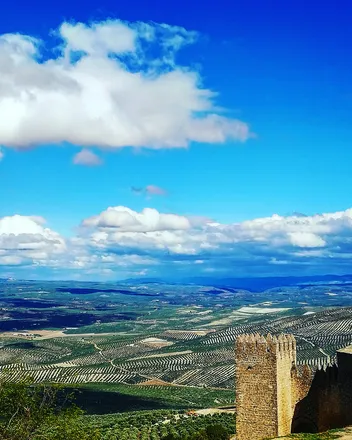 OnlyFans cuenta miguelalcazar header 2