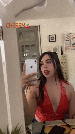 OnlyFans cuenta cheetah559 avatar 1