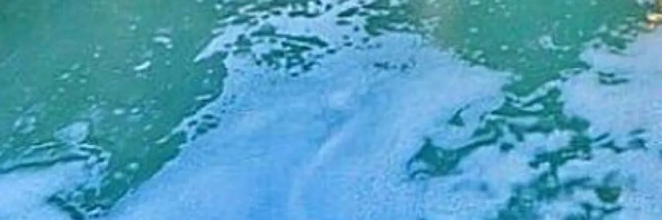 OnlyFans cuenta rfrvby header 1