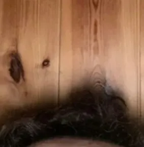 OnlyFans cuenta norwegianboy97 header 2