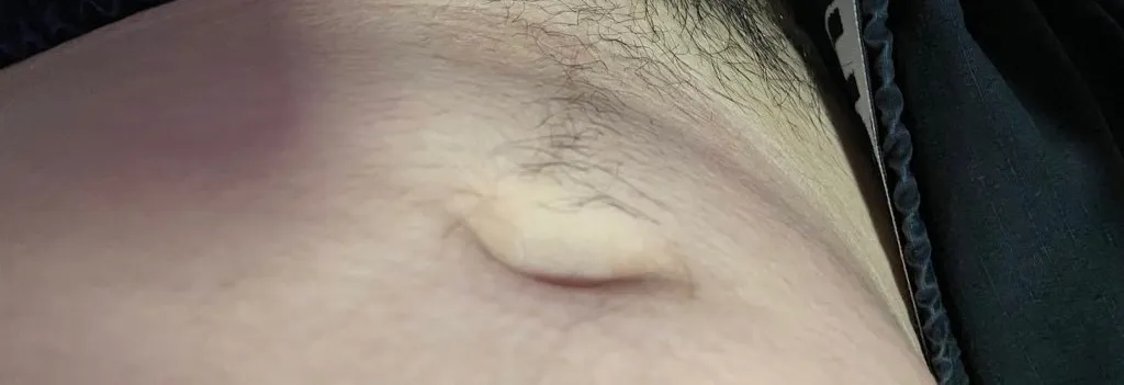 OnlyFans cuenta micromicrobear77 header 2