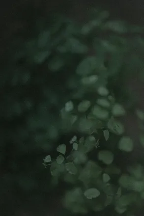 OnlyFans cuenta avaoak header 2