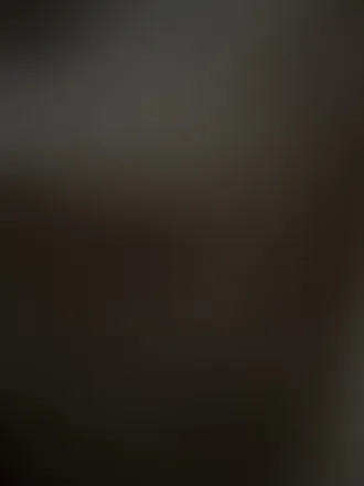 OnlyFans account  eltigerr header 2