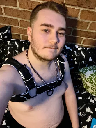 OnlyFans cuenta misterlilcub avatar 1