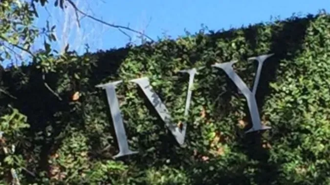 OnlyFans cuenta official_ivy header 2