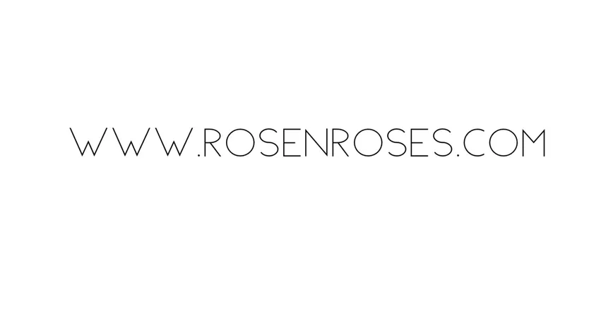 OnlyFans cuenta rosenroses header 2