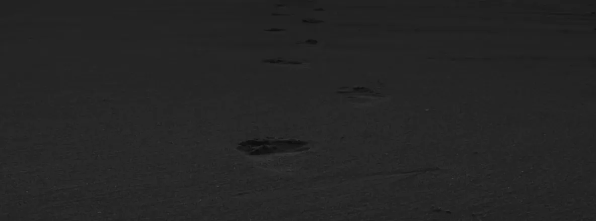 OnlyFans cuenta ifmirl header 2