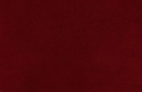 OnlyFans cuenta khramalexis header 2