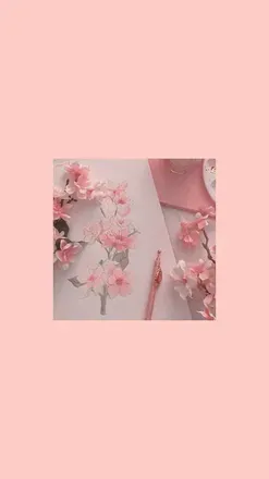 OnlyFans account  evelyn_xo header 2